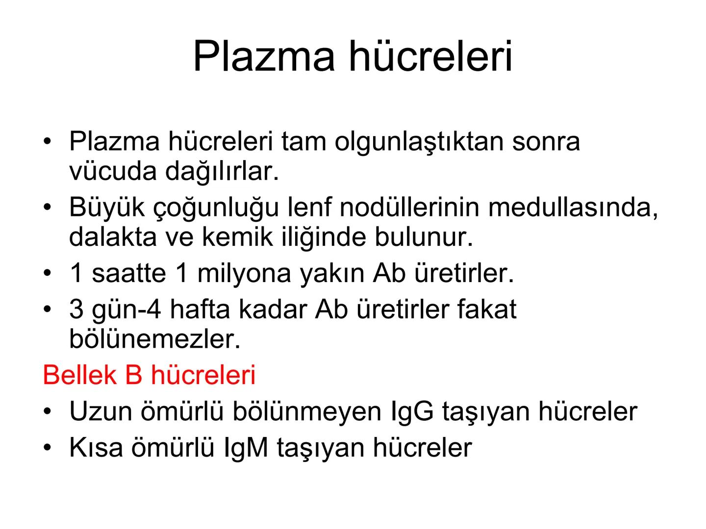 Spesifik bağışıklık
• 1-Aktif bağışıklık
• a
a-Doğal aktif (komensal, saprofitik, gida,
atlatılan enfeksiyonlar)
b- Yapay aktif (7-10 günde 