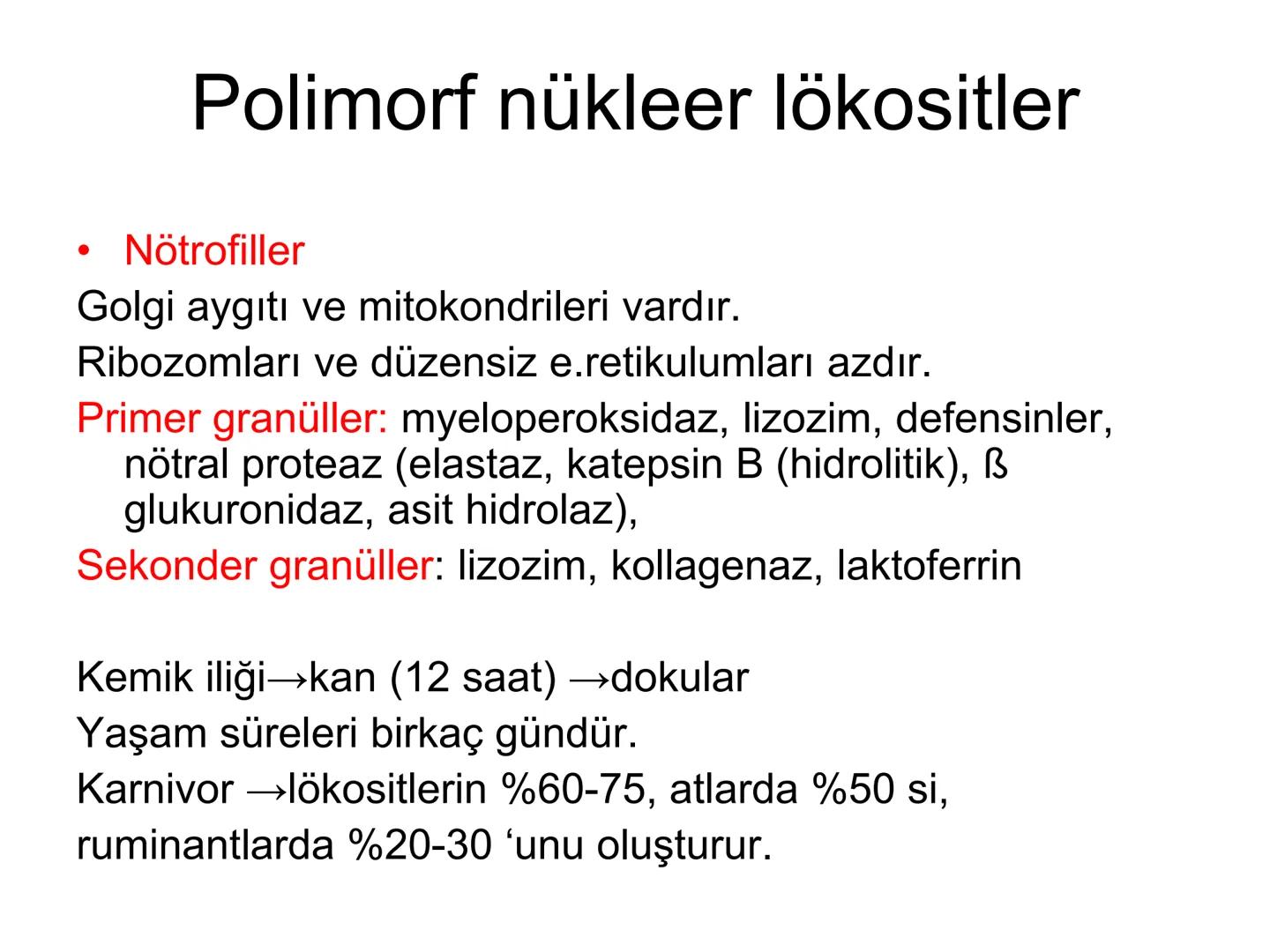 Spesifik bağışıklık
• 1-Aktif bağışıklık
• a
a-Doğal aktif (komensal, saprofitik, gida,
atlatılan enfeksiyonlar)
b- Yapay aktif (7-10 günde 