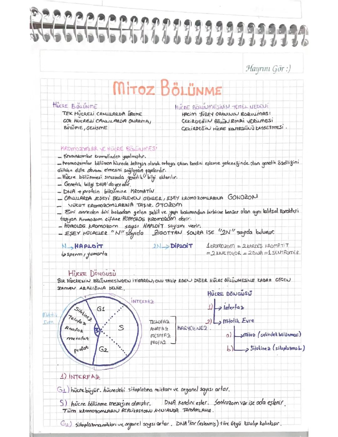 Mitoz bölünme tyt biyoloji 