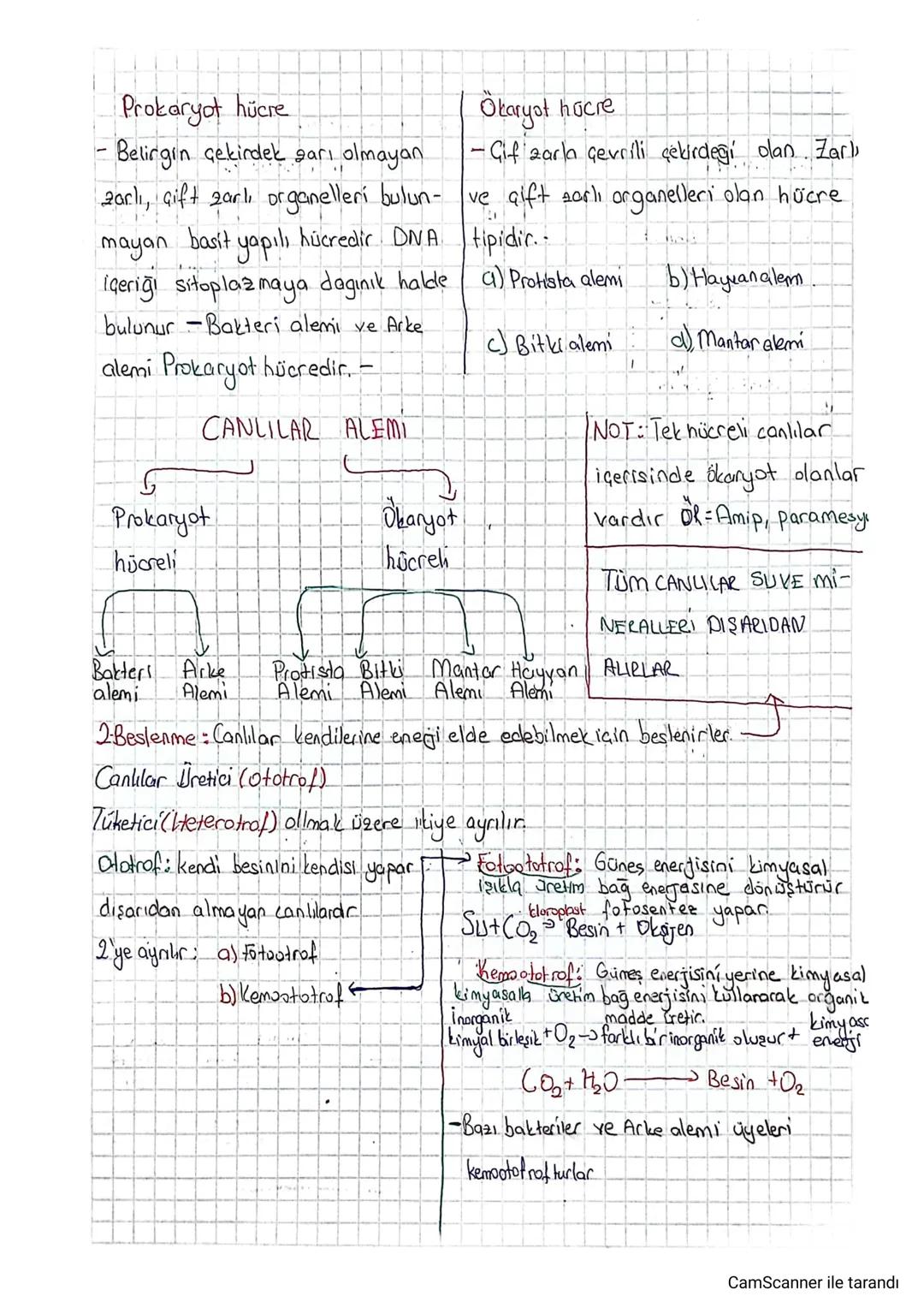 Prokaryot hücre
"
- Belirgin çekirdek sarı olmayan
zarlı, Gift zarlı organelleri bulun-
mayan basit yapılı hücredir DNA
içeriği sitoplazmaya