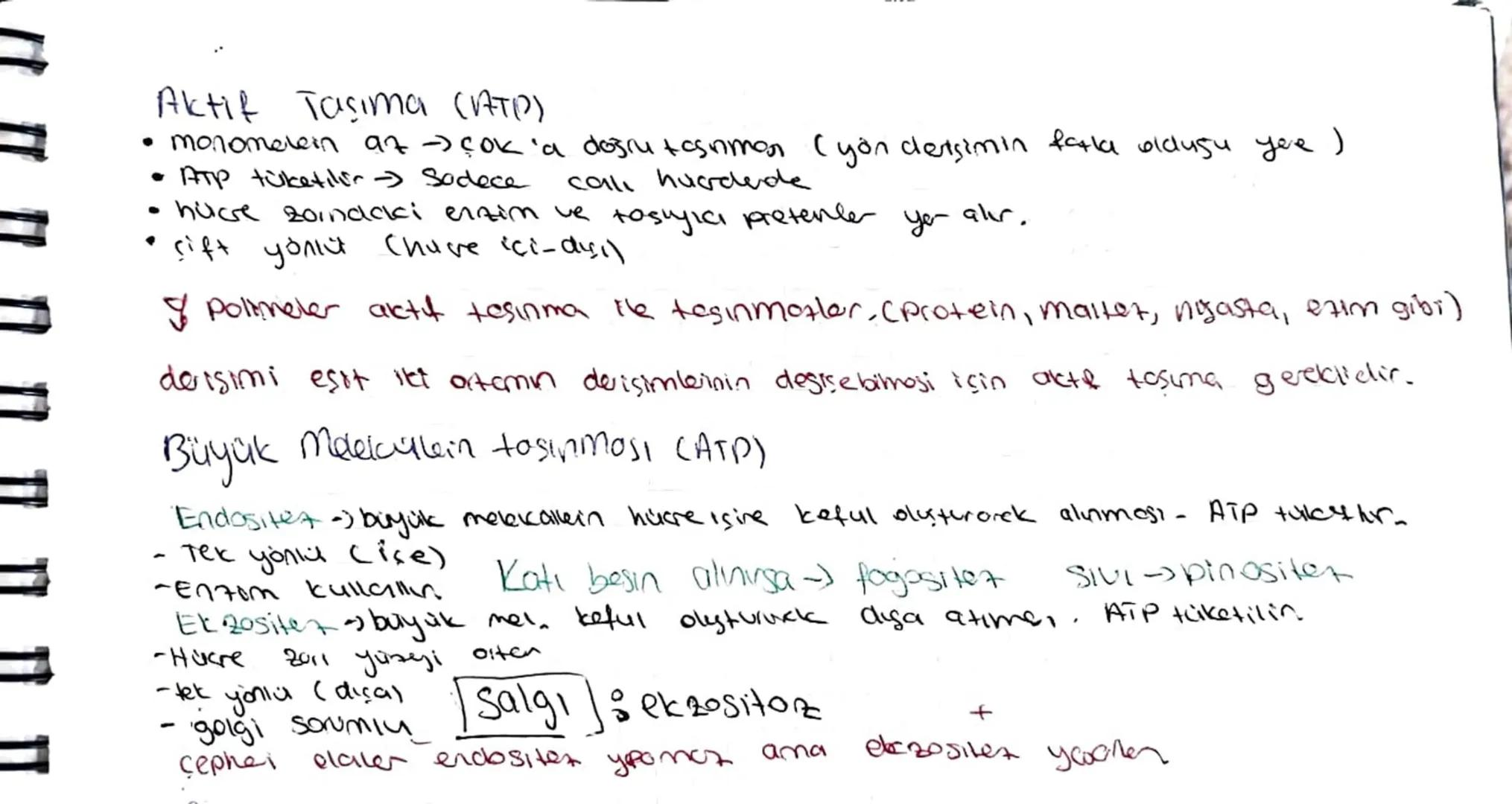 huge zorindan forklilegan yapiler
1) Sil: Okaryatorda horaketi sağlar
2) kumsi aktif holaketi Soglar
3) yakıcı ayak & horaket ve beslomme Ja