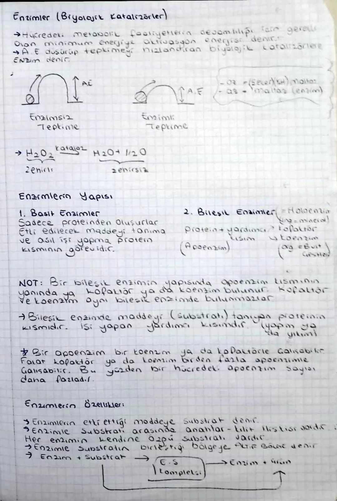 Enzimler (Biyolojik Katalizörler)
→Hucredek metabolik faaliyetleria desambilipi fare gereis
Dian minimum enerjiye aktivasyon enerjis denir.
