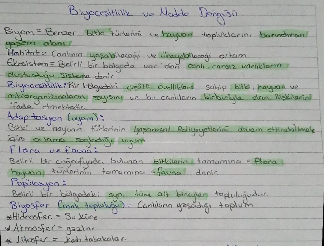 11. Sınıf cografya 