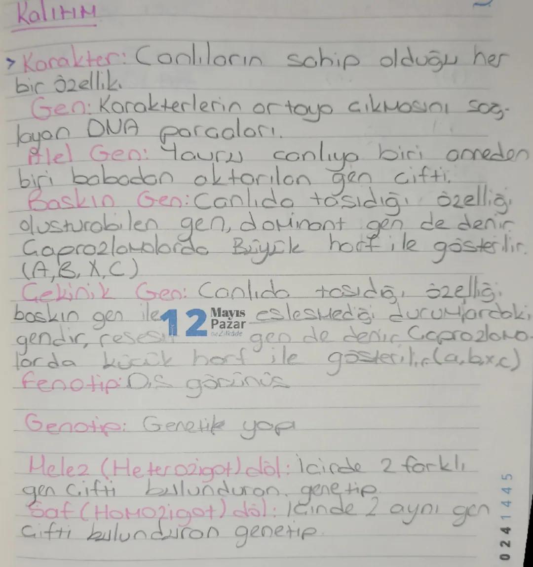 4
5
45
DNA ve Genetik Kod-Kisa Tekra
>DNA'nın yapı birini nükleotid.
> DNA'nın görev birimi gendir.
G+
+C
T
G
C+
+G
Yanlis Eslesue
onarılır
