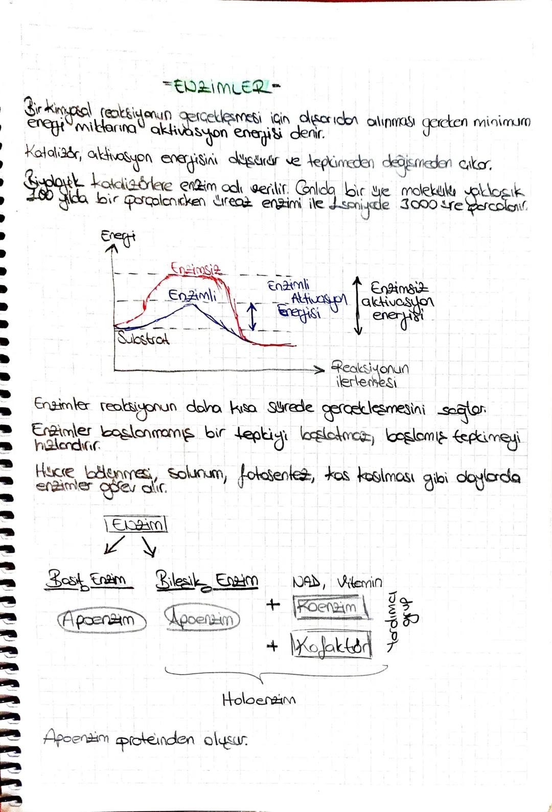 -ENZIMLER-
Bir kimyasal reaksiyonun gerçekleşmesi için discridar alınması gereken minimum
enegi miktarına aktivasyon enerjisi denir.
Kataliz