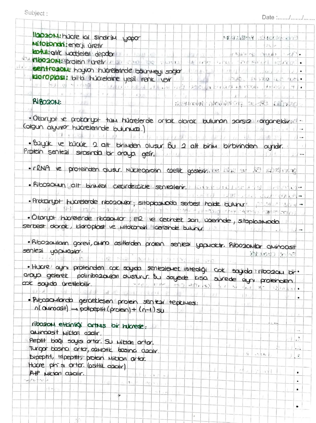 SITOPLAZMA ve ORGANELLER
SITOPLAZMA:
• Hücrenin; hücre zon ile cecairder zan arasında kalan kisuina Sitopiazna denir.
TUM hücrelerde bulunur