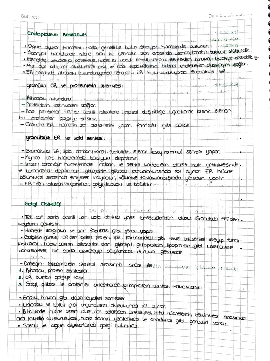SITOPLAZMA ve ORGANELLER
SITOPLAZMA:
• Hücrenin; hücre zon ile cecairder zan arasında kalan kisuina Sitopiazna denir.
TUM hücrelerde bulunur