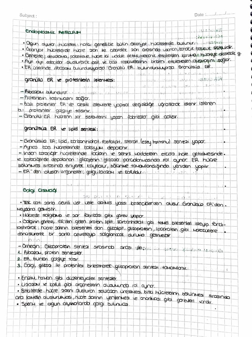 SITOPLAZMA ve ORGANELLER
SITOPLAZMA:
• Hücrenin; hücre zon ile cecairder zan arasında kalan kisuina Sitopiazna denir.
TUM hücrelerde bulunur