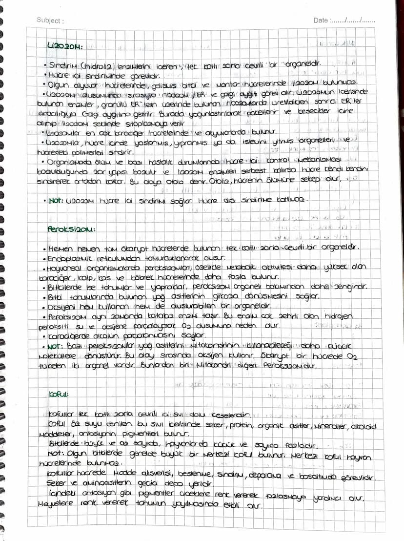 SITOPLAZMA ve ORGANELLER
SITOPLAZMA:
• Hücrenin; hücre zon ile cecairder zan arasında kalan kisuina Sitopiazna denir.
TUM hücrelerde bulunur
