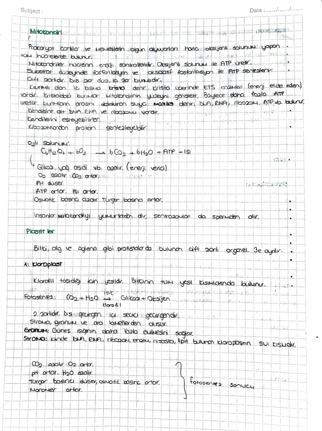 SITOPLAZMA ve ORGANELLER
SITOPLAZMA:
• Hücrenin; hücre zon ile cecairder zan arasında kalan kisuina Sitopiazna denir.
TUM hücrelerde bulunur