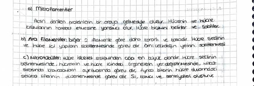 SITOPLAZMA ve ORGANELLER
SITOPLAZMA:
• Hücrenin; hücre zon ile cecairder zan arasında kalan kisuina Sitopiazna denir.
TUM hücrelerde bulunur