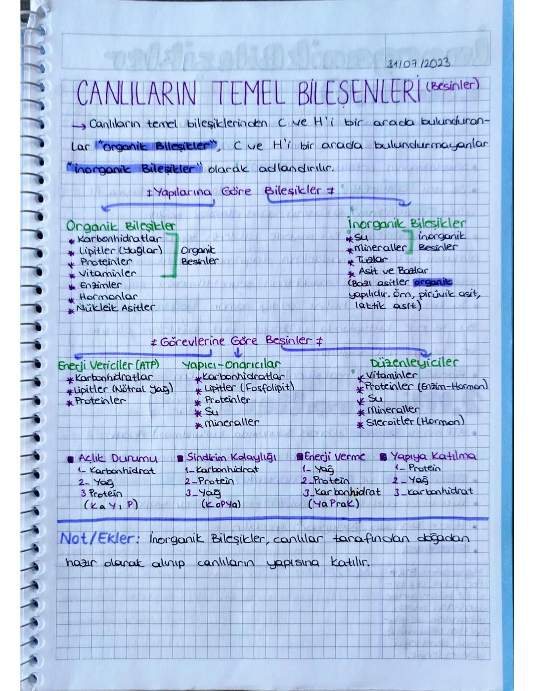 Canlıların Temel Bileşenleri 