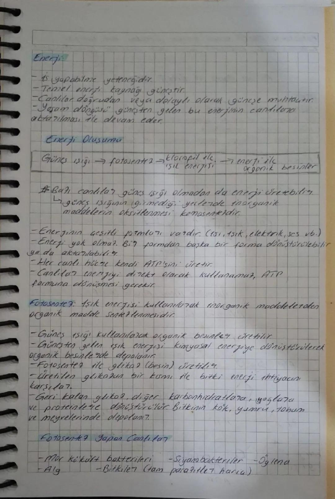 Biyoloji 10. Sınıf