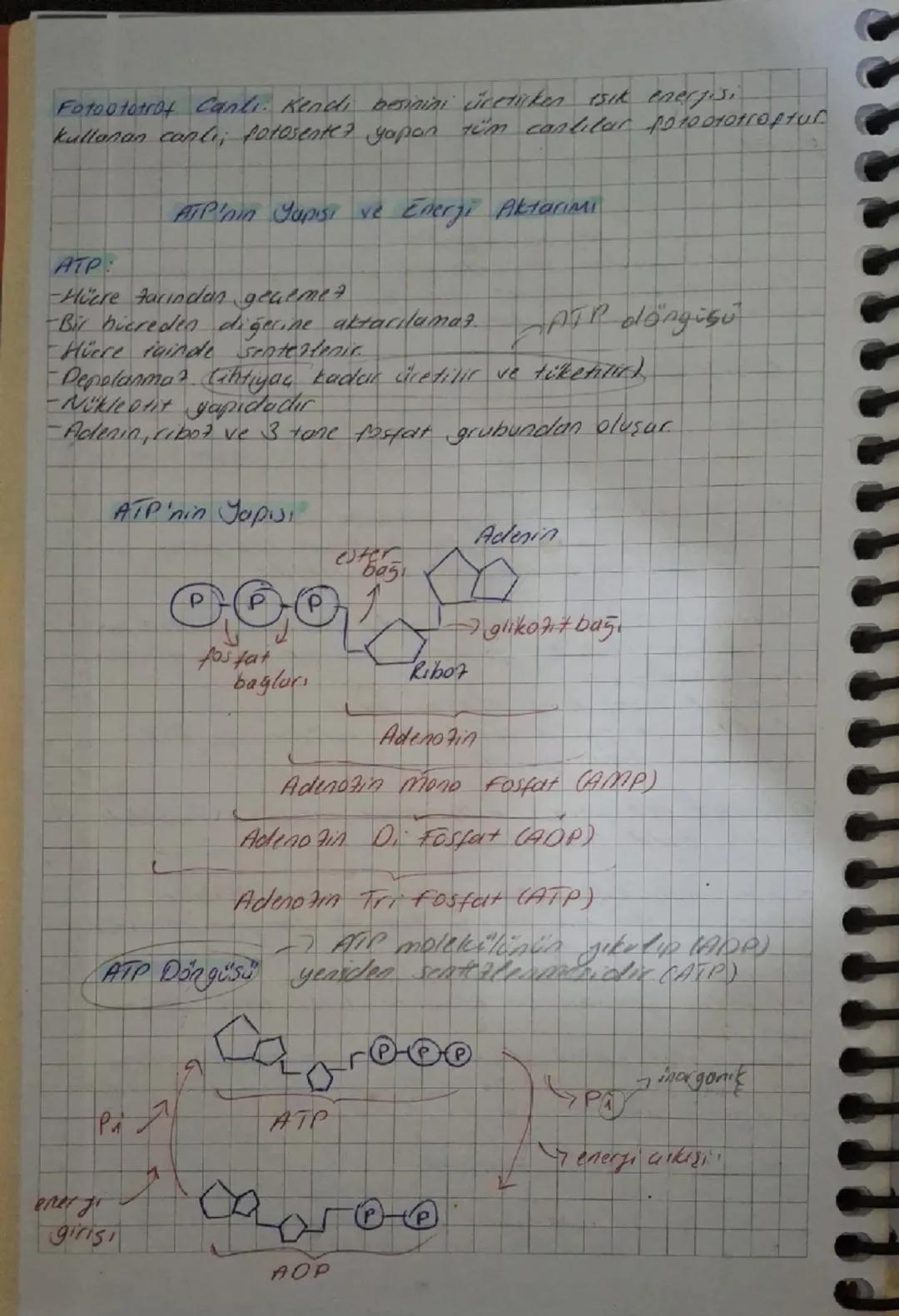 # Enerji

- 15 yapabilere yeteneğidir
- Temel encrf. kaynağı güneştir
- Canlılar doğrudan veya dolaylı olaran güncze muntautır.
-Yesum döngü
