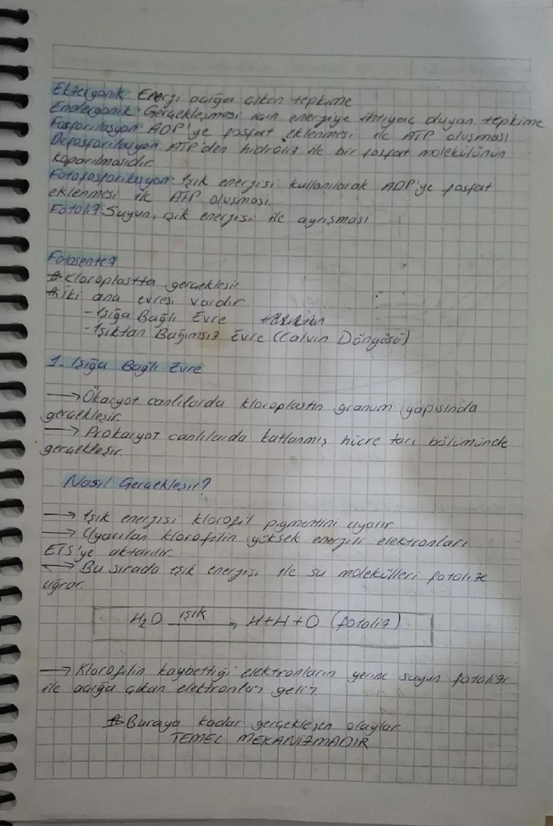 # Enerji

- 15 yapabilere yeteneğidir
- Temel encrf. kaynağı güneştir
- Canlılar doğrudan veya dolaylı olaran güncze muntautır.
-Yesum döngü