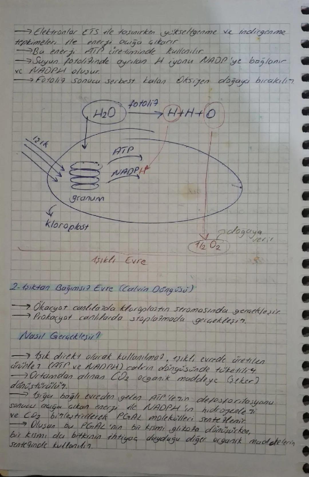 # Enerji

- 15 yapabilere yeteneğidir
- Temel encrf. kaynağı güneştir
- Canlılar doğrudan veya dolaylı olaran güncze muntautır.
-Yesum döngü