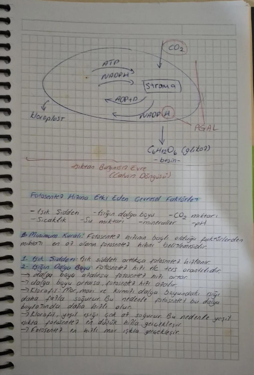 # Enerji

- 15 yapabilere yeteneğidir
- Temel encrf. kaynağı güneştir
- Canlılar doğrudan veya dolaylı olaran güncze muntautır.
-Yesum döngü