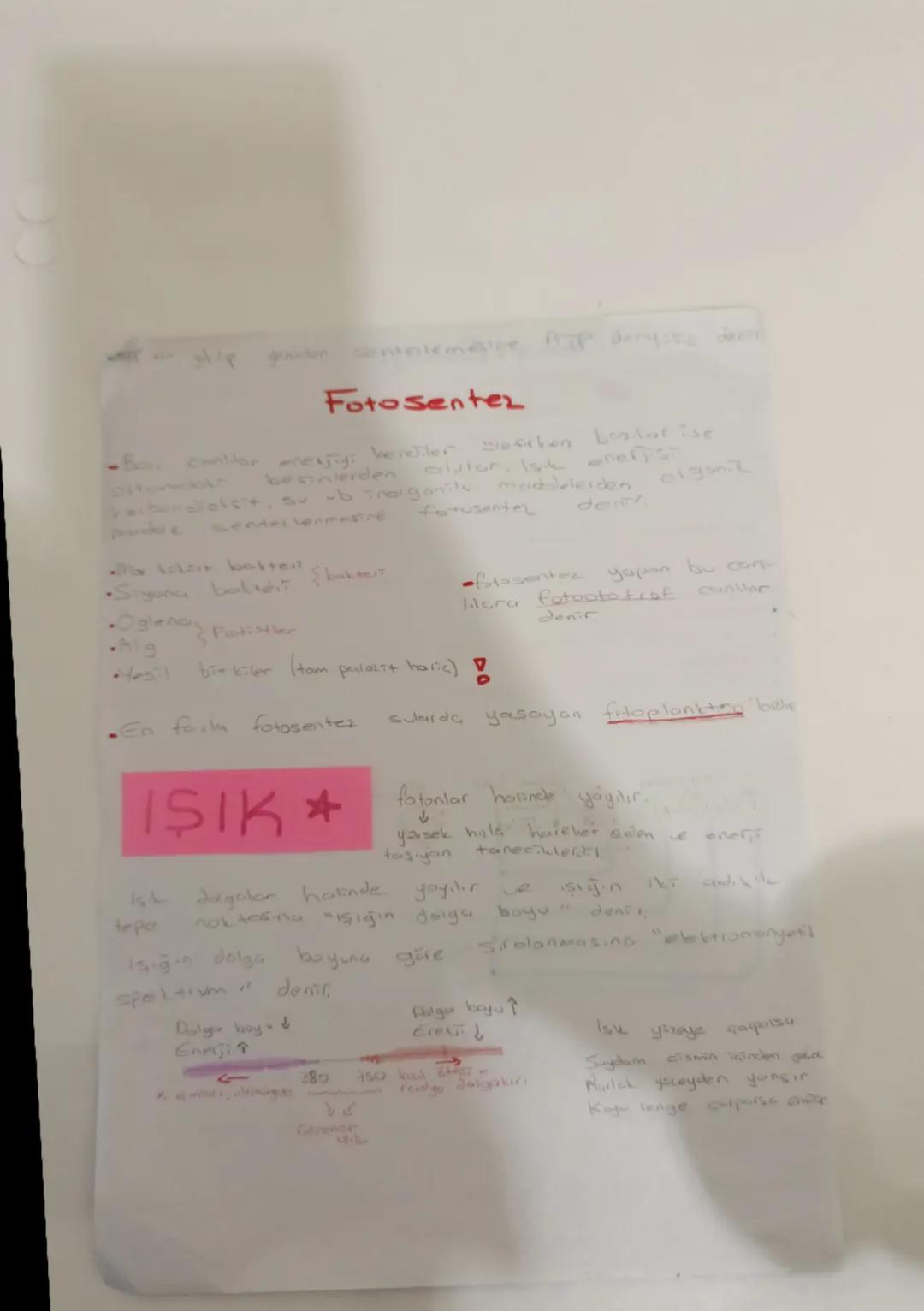 lp yeniden sontelemaine ATP deyse dente

# Fotosentez

- Bos, contdar chesjigi verdiler ofrken bendar ise
allor, Isik enerjist
besinlerden
F