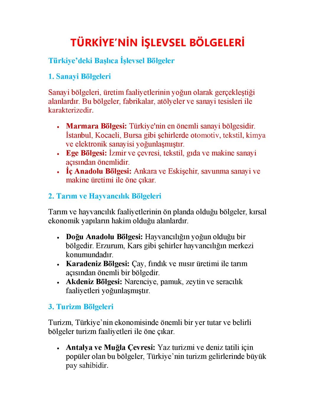 Türkiye’nin İşlevsel Bölgeleri