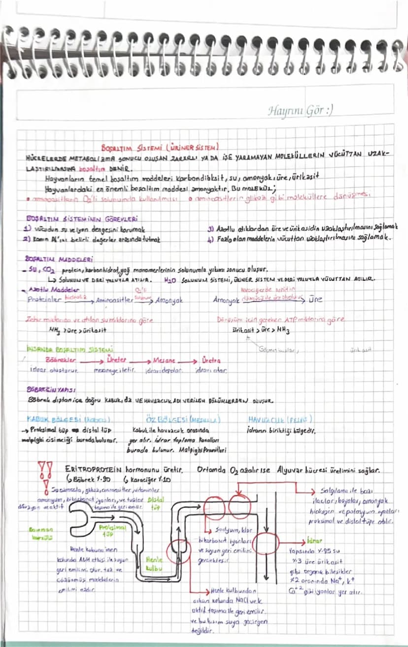 Hayrını Gör :)
BOSALTIM SISTEMI (URINER SISTEM)
HÜCRELERDE METABOLISMA SONUCU OLUSAN ZARARLI YA DA İSE YARAMAYAN MOLEKULLERIN VÜCUTTAN UZAK-