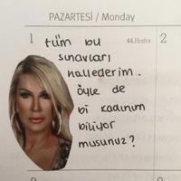 user profile picture