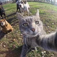 user profile picture