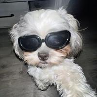 user profile picture