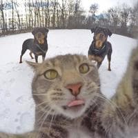 user profile picture