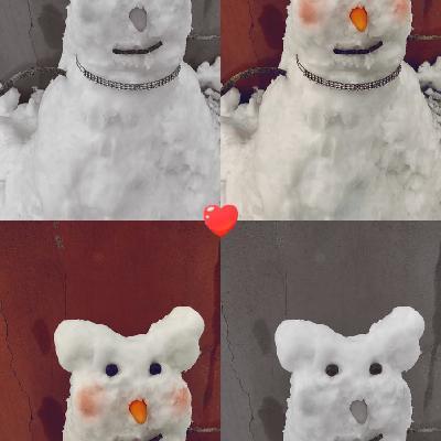 user profile picture