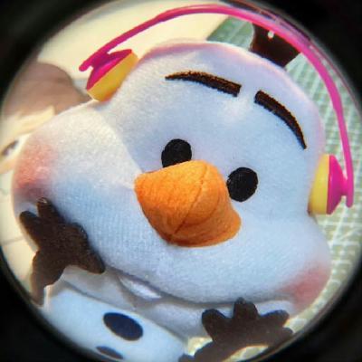 user profile picture