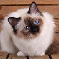 user profile picture