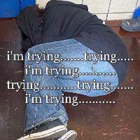 user profile picture