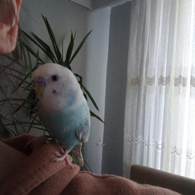 user profile picture