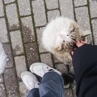 user profile picture