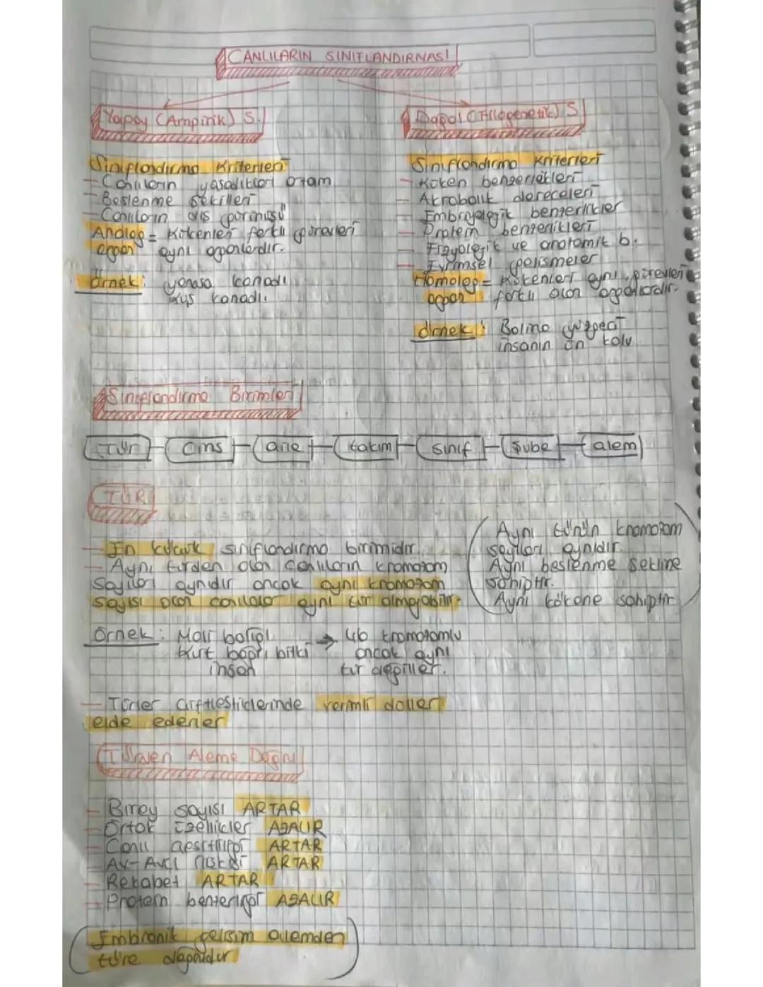 Canlıların sınıflandırılması