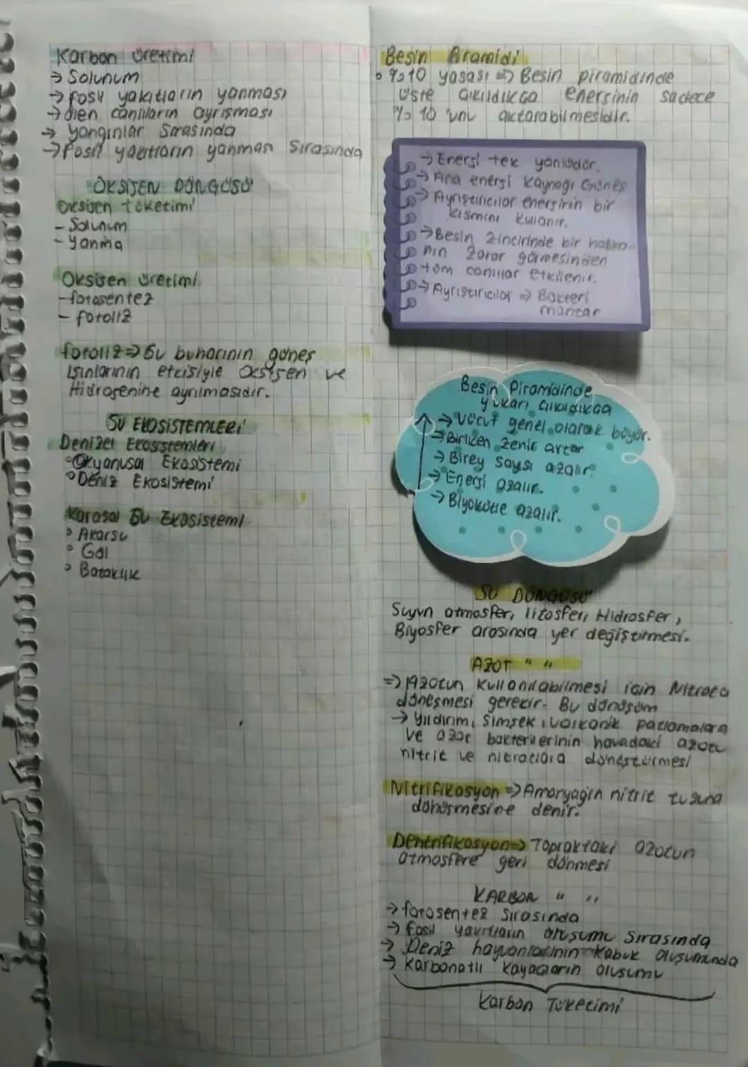 Biyoceşitliliği Etkileyen Etmenier
1- Fiziki
Etmenler
iklim CSıcaklık, yağış, işık, Ruzgor)
oyerys 20s. Cyckselei, yazey ş, Bakı,dagiarin
•T