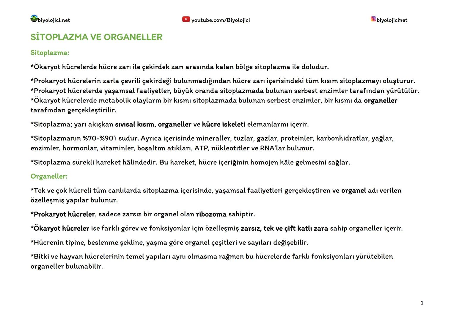 biyolojici.net
SİTOPLAZMA VE ORGANELLER
Sitoplazma:
▸ youtube.com/Biyolojici
*Ökaryot hücrelerde hücre zarı ile çekirdek zarı arasında kalan