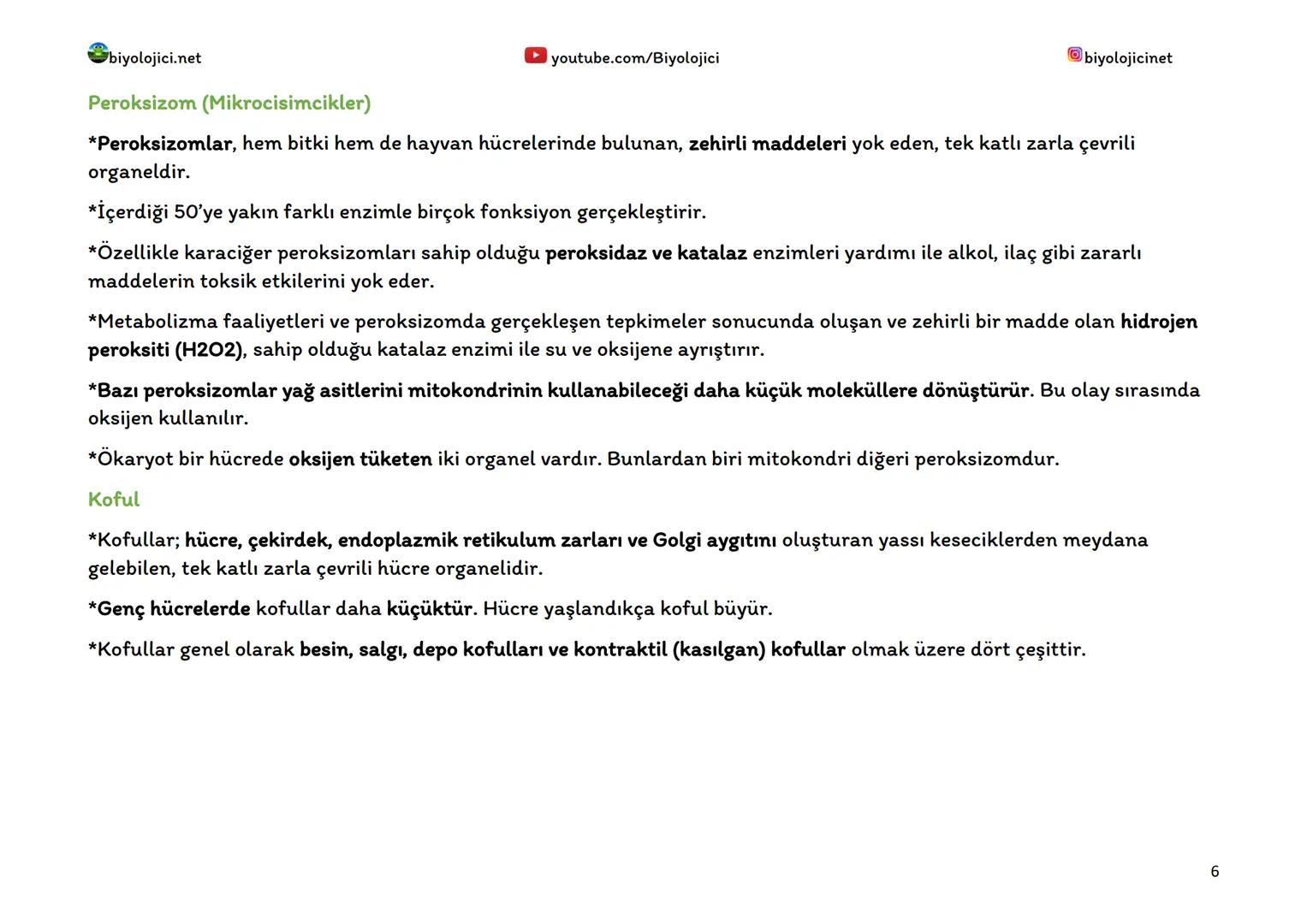 biyolojici.net
SİTOPLAZMA VE ORGANELLER
Sitoplazma:
▸ youtube.com/Biyolojici
*Ökaryot hücrelerde hücre zarı ile çekirdek zarı arasında kalan