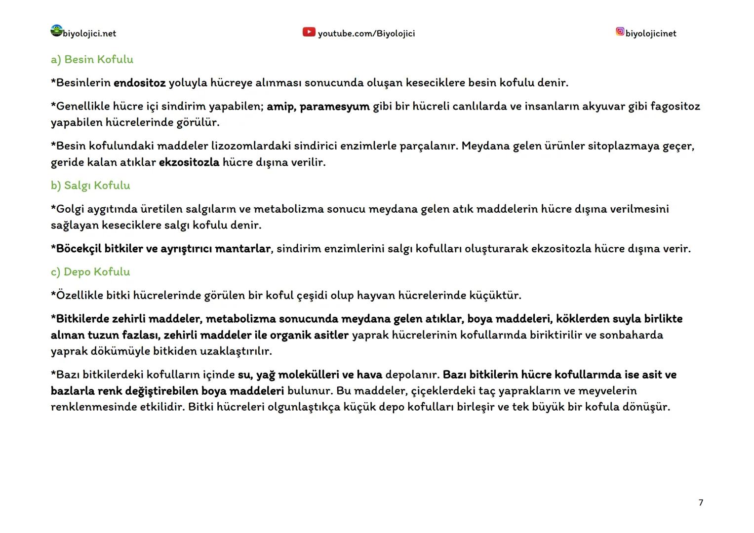 biyolojici.net
SİTOPLAZMA VE ORGANELLER
Sitoplazma:
▸ youtube.com/Biyolojici
*Ökaryot hücrelerde hücre zarı ile çekirdek zarı arasında kalan