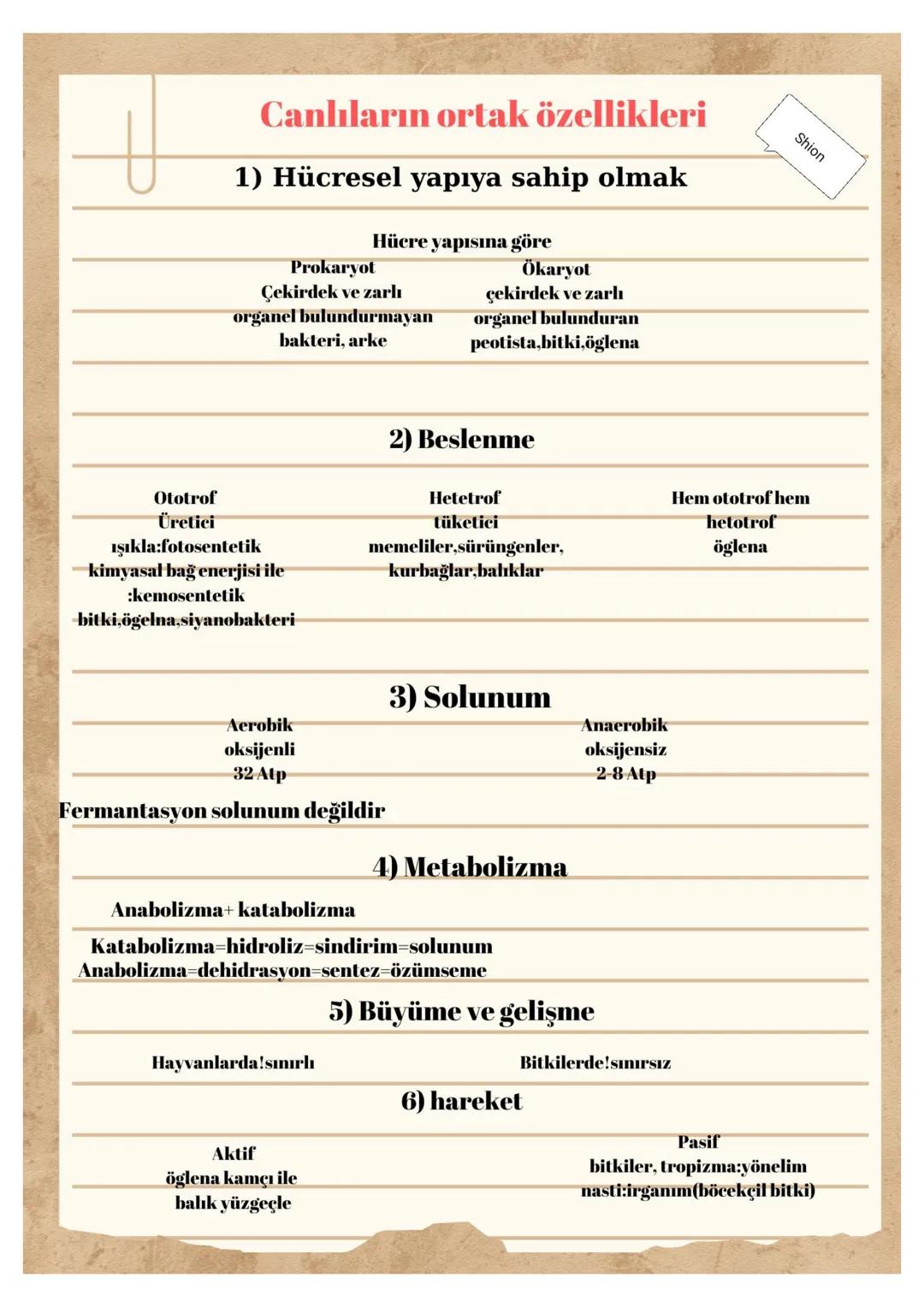 Canlıların ortak özellikleri
1) Hücresel yapıya sahip olmak
Hücre yapısına göre
Prokaryot
Ökaryot
Çekirdek ve zarlı
çekirdek ve zarlı
org