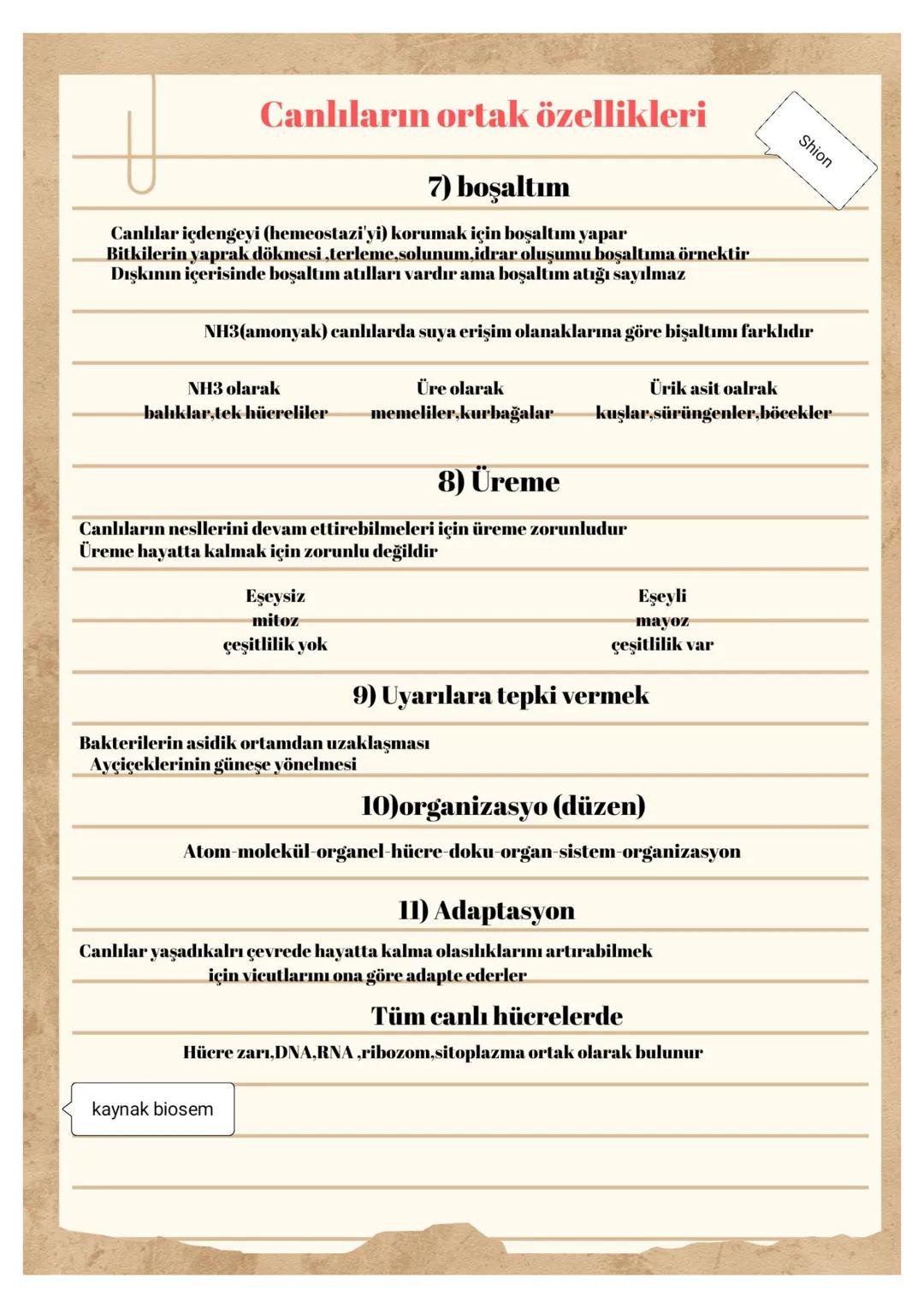 Canlıların ortak özellikleri
1) Hücresel yapıya sahip olmak
Hücre yapısına göre
Prokaryot
Ökaryot
Çekirdek ve zarlı
çekirdek ve zarlı
org