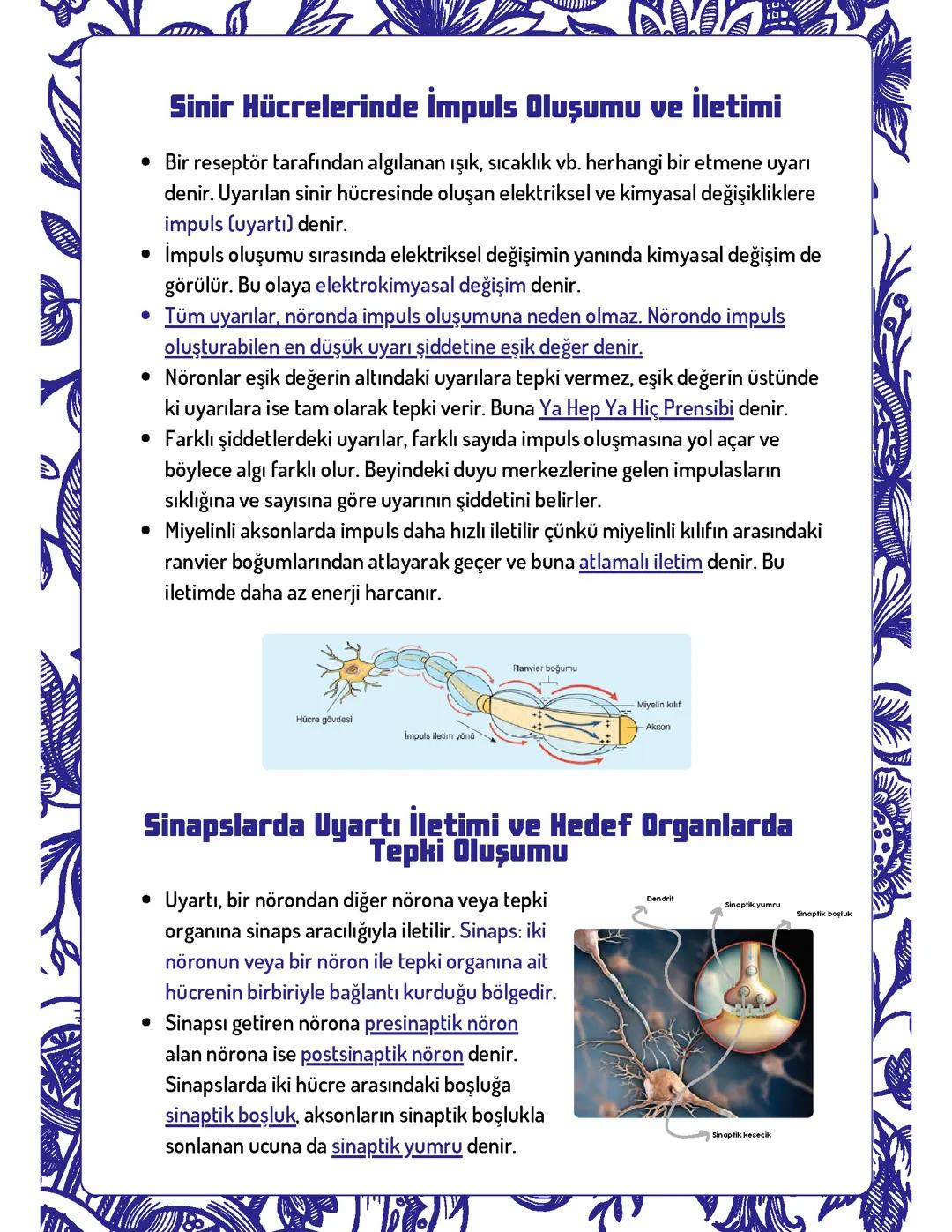 İmpuls Oluşumu ve İletimi