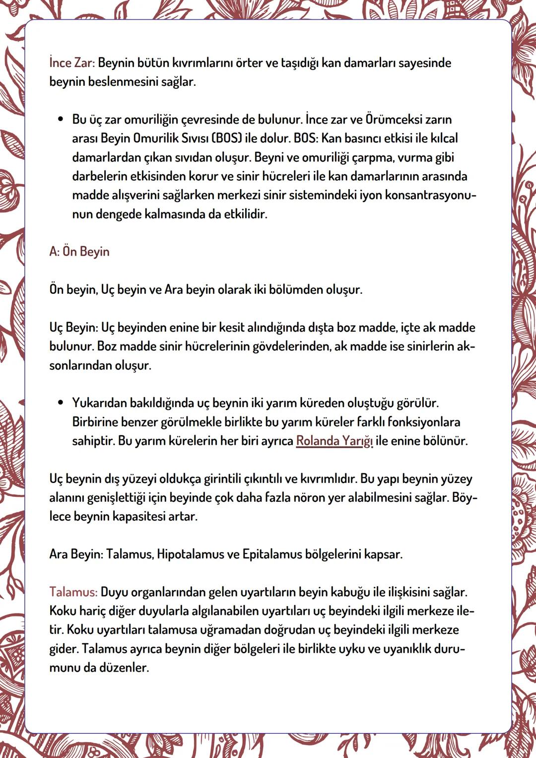 Beyin
Ön Beyin
Uç Beyin
Ara Beyin
Sinir Sisteminin Bölümleri
Merkezi Sinir Sistemi
Çevresel Sinir Sistemi
Omurilik
Duyu Bölümü
Motor Bölümü
