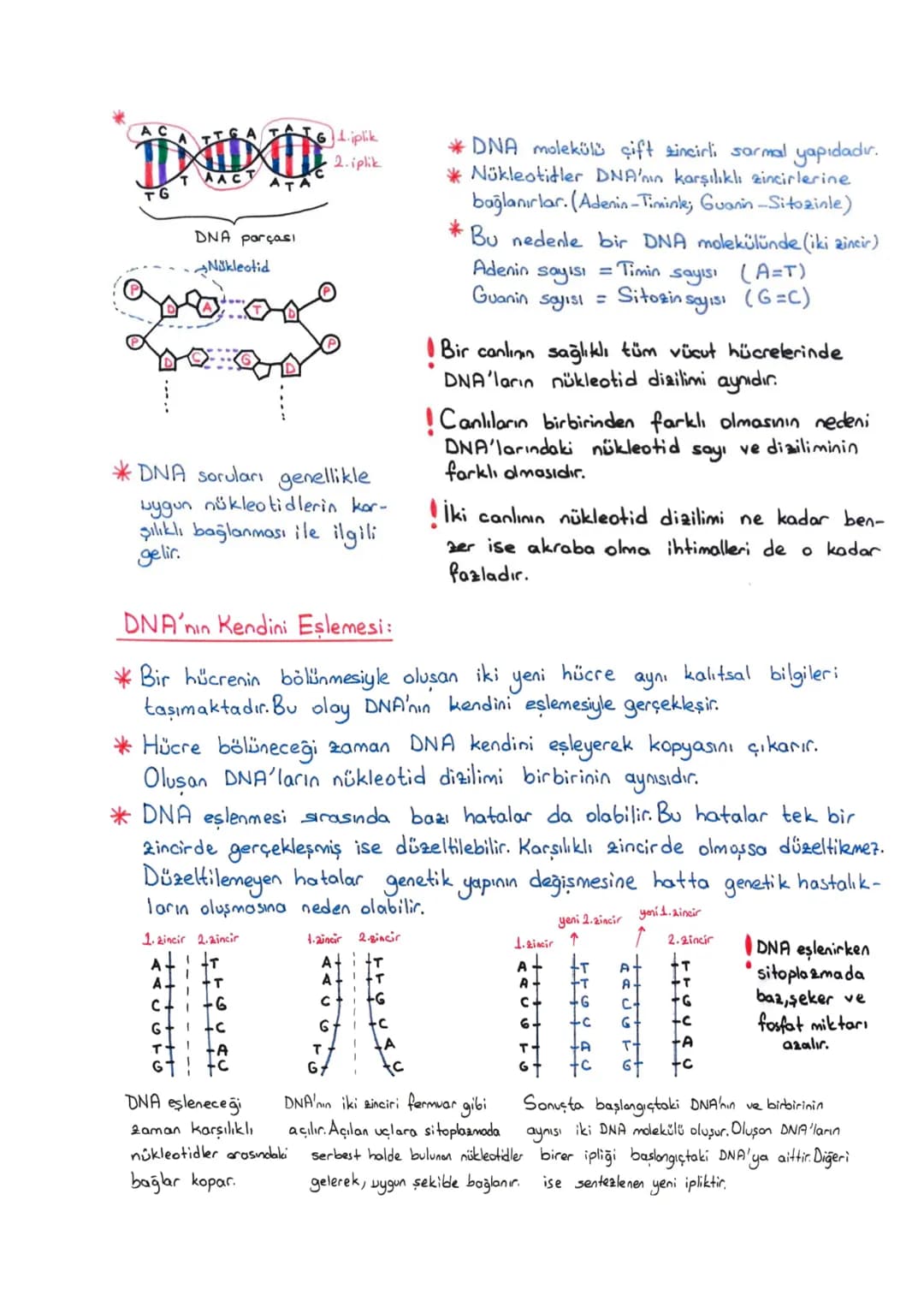8. SINIF FEN DNA GİRİŞ – 2. sayfa