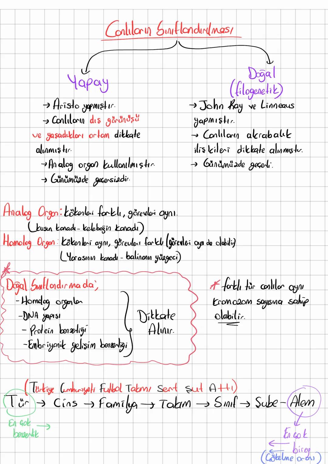 Tyt Biyoloji Canlıların sınıflandırılması