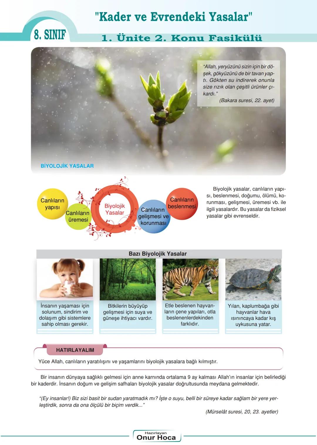 "Kader ve Evrendeki Yasalar"
8. SINIF
1. Ünite 2. Konu Fasikülü
Kader ve Evrendeki Yasalar
Evrendeki Yasalar
Allah'ın yarattığı canlı ve can