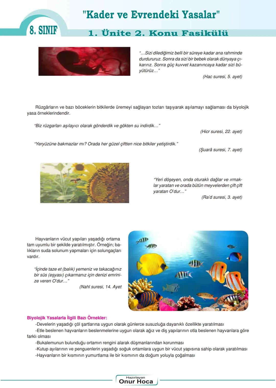 "Kader ve Evrendeki Yasalar"
8. SINIF
1. Ünite 2. Konu Fasikülü
Kader ve Evrendeki Yasalar
Evrendeki Yasalar
Allah'ın yarattığı canlı ve can