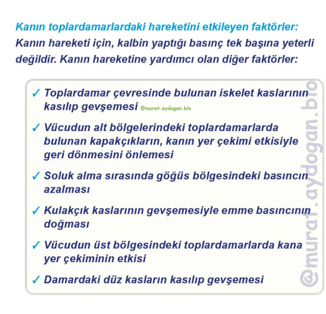 Kalbin Yapısı: Kalp iki kulakçık ve iki karıncıktan oluşur.
Kulakçıklar toplardamarlarla, karıncıklar atardamarlarla
bağlantılıdır. @Murat.a