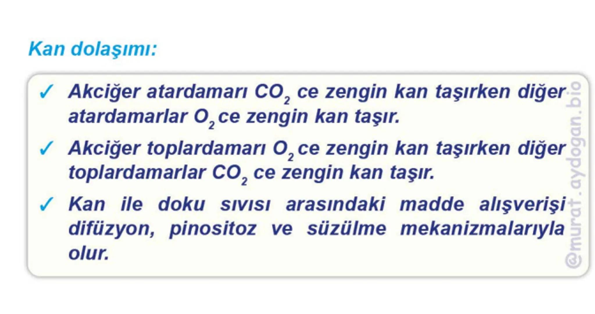 Kalbin Yapısı: Kalp iki kulakçık ve iki karıncıktan oluşur.
Kulakçıklar toplardamarlarla, karıncıklar atardamarlarla
bağlantılıdır. @Murat.a
