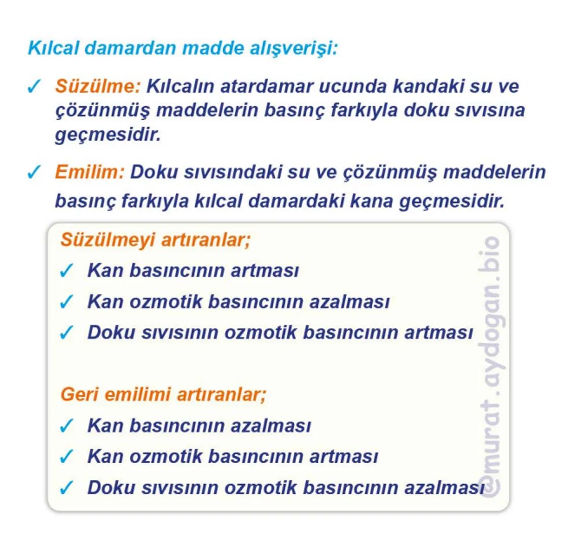 Kalbin Yapısı: Kalp iki kulakçık ve iki karıncıktan oluşur.
Kulakçıklar toplardamarlarla, karıncıklar atardamarlarla
bağlantılıdır. @Murat.a